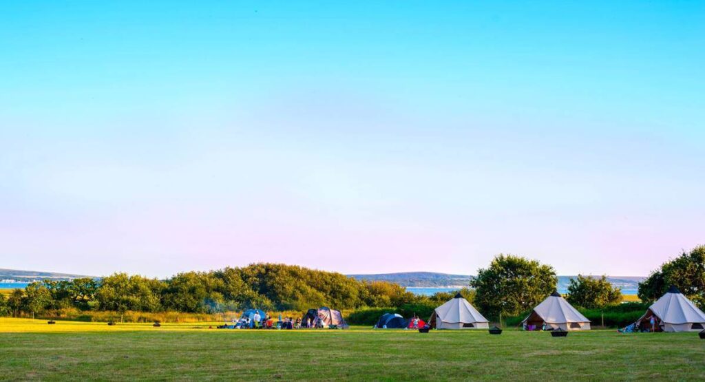 New Forest camping