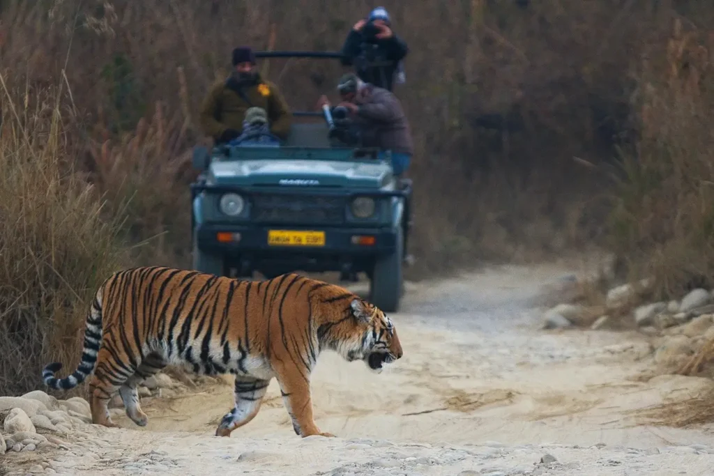 Kalagarh Tiger Reserve
